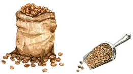 コーヒービーンズ2